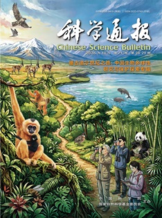 CSB_cover.jpg